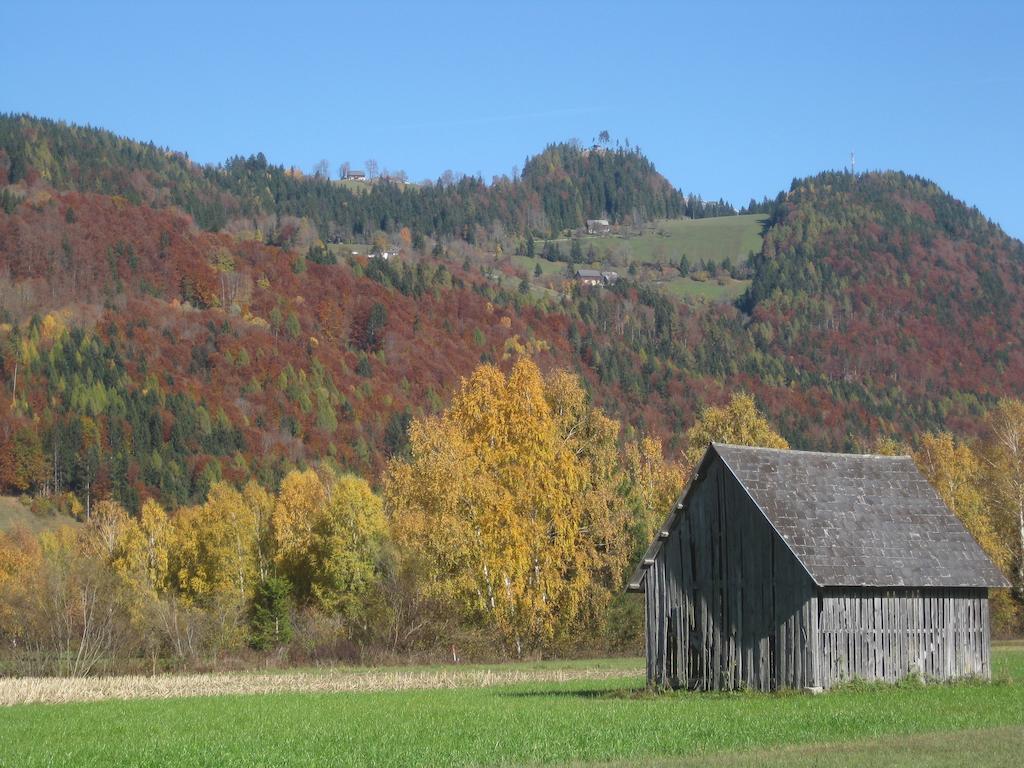 Haus Moser Worschach Экстерьер фото